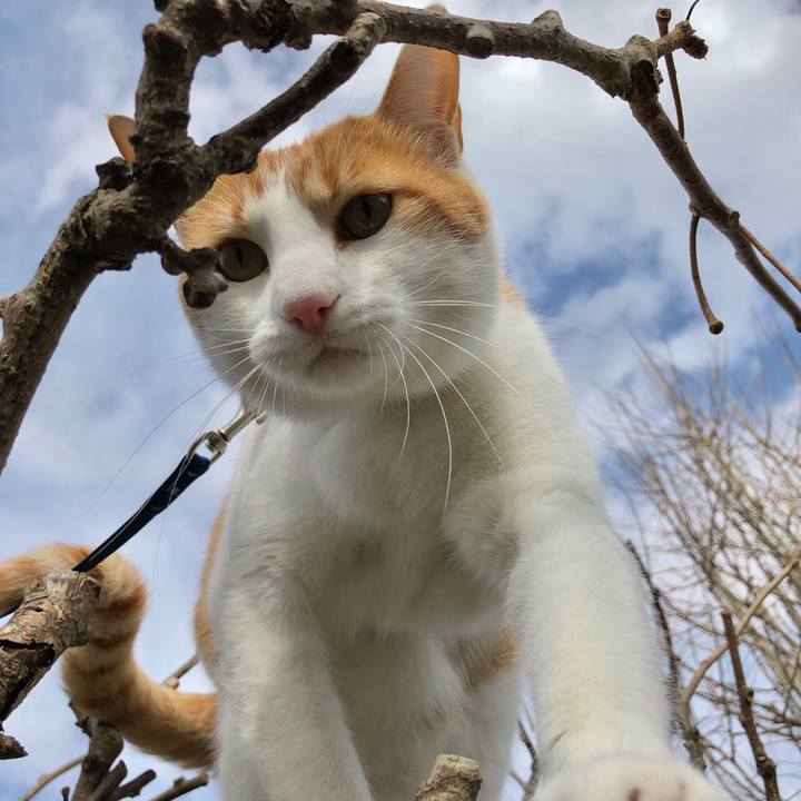 8e4aa0f2 fd9a 48cc 81c9 0a45503bdc4b 1544175490695