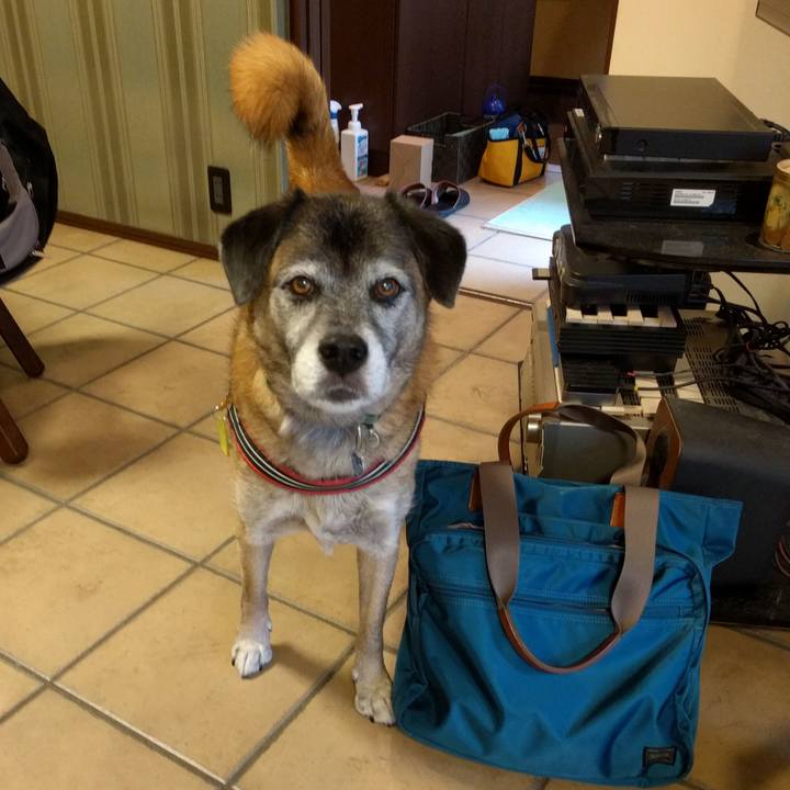 8e4ae51c 3178 4950 bfc2 da730005551a 1539557579912