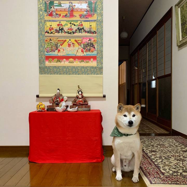 8e4af0da 9d03 480e bf9f 2e5d08ed6a9b 1646382852354