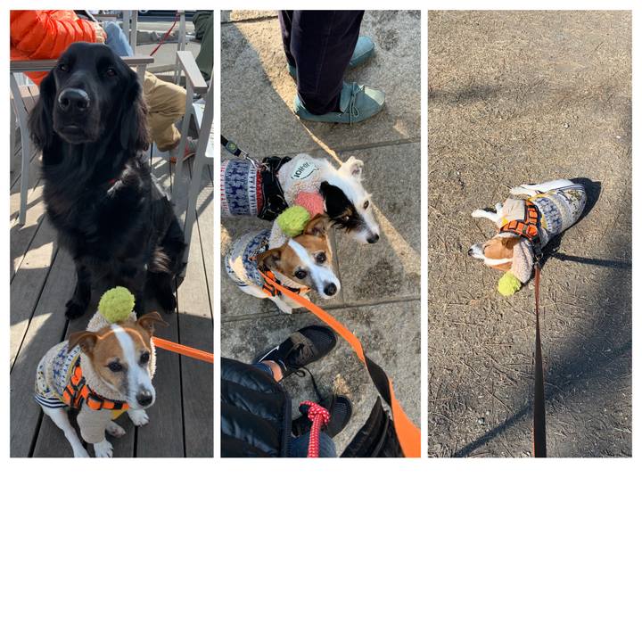 8e4b1a57 3dbf 44db 92eb c3bdd0703ce8 1578030190454