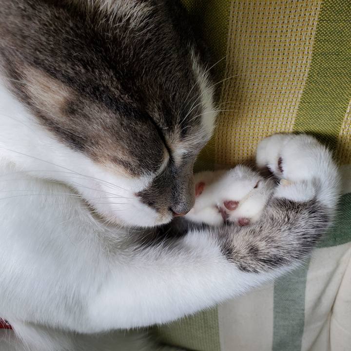 8e4b4d13 d7e8 42d5 bada 2207196ae515 1689747934864