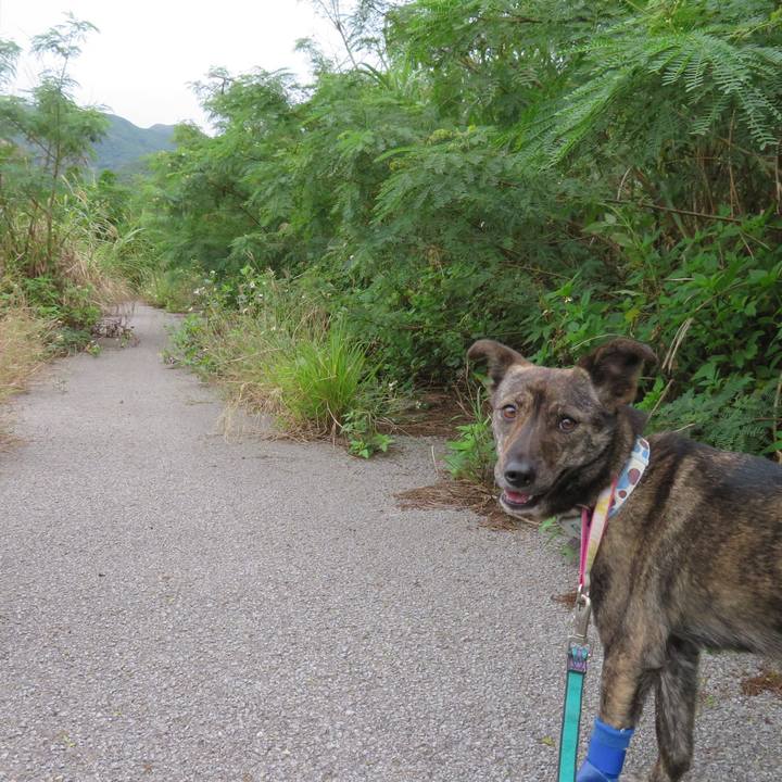 8e4b59cc e0a6 41e6 acfb 2c20b42f7a60 1554182038846