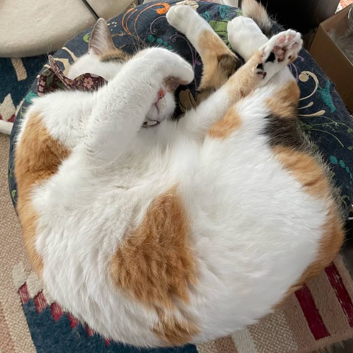 8e4b5ef7 68ce 4a8c 873a 075beff29ae7 1754212086157