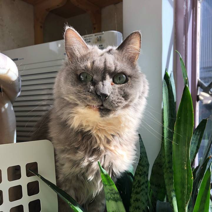 8e4b6f39 5580 43bd adaf 2001b548c29a 1577839136922