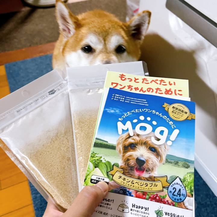 8e4ba1a8 c579 4b20 88ec 78be2a3701f7 1663490633051