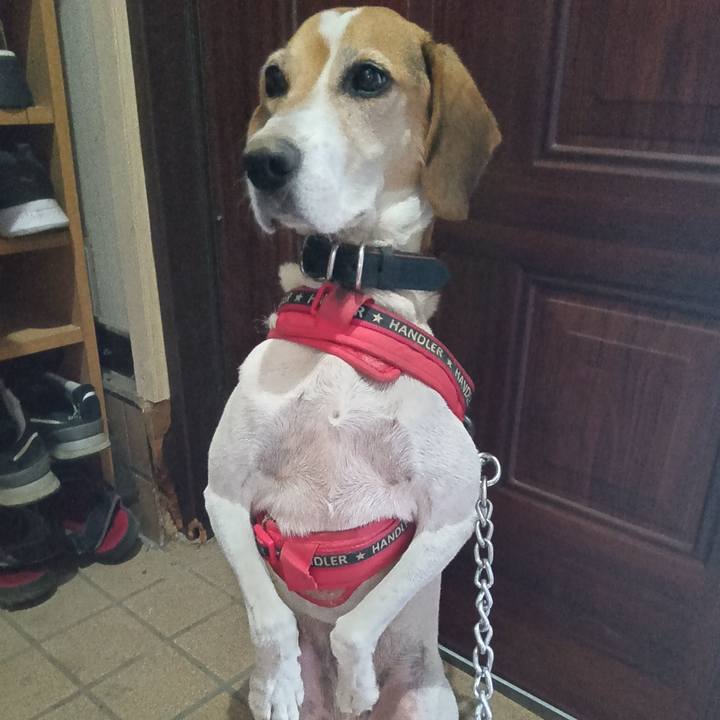 8e4bd6f6 058b 4474 b6d6 454f6becbbae 1726142176550