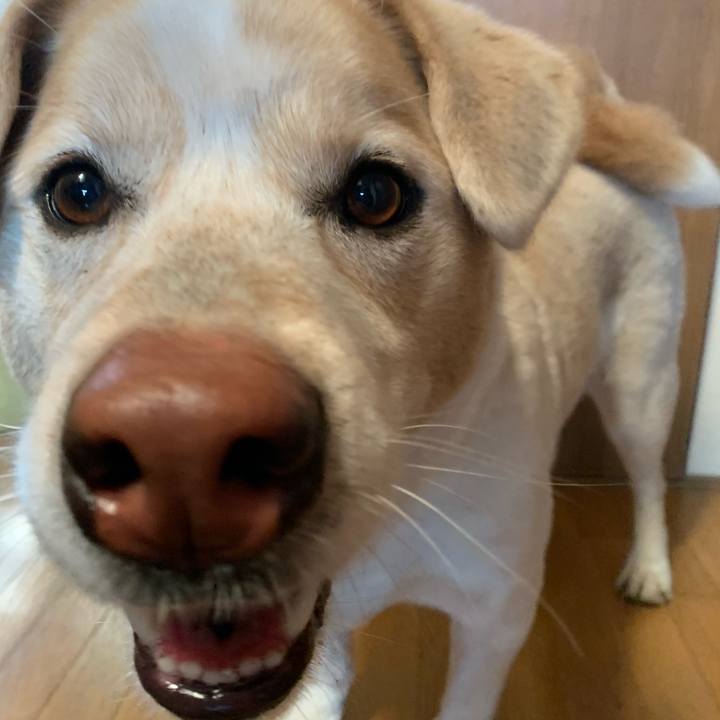 8e4bf855 716c 42eb 99d6 655608b0f238 1580614181691