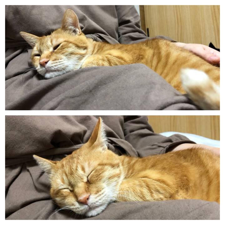 8e4c3e52 b93c 4ee9 90be 38b99975ac4a 1603621382837