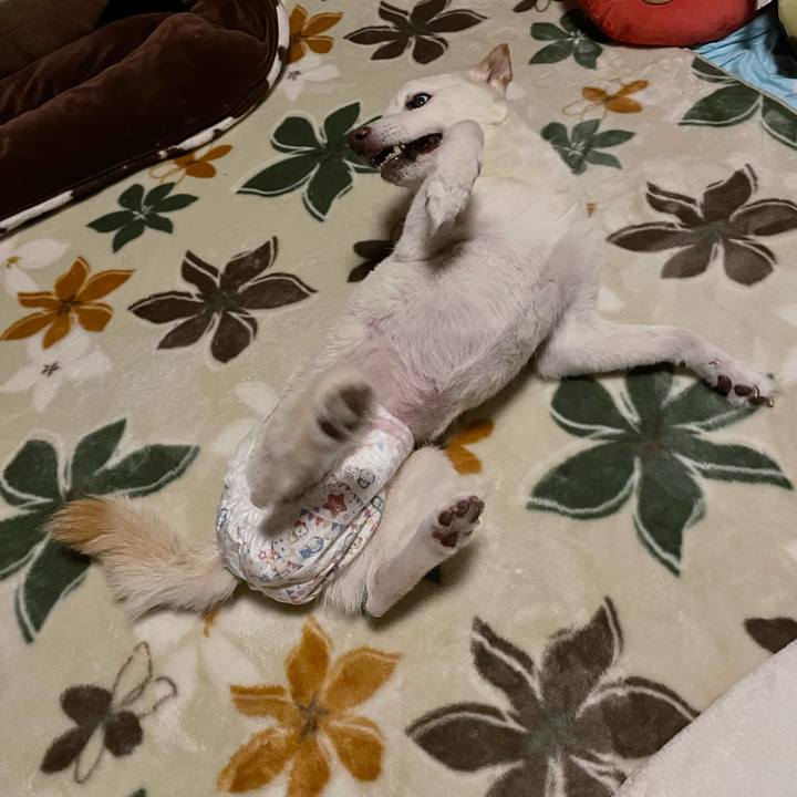 8e4c9db2 0312 4f45 9398 f70b132c21c2 1669134710880