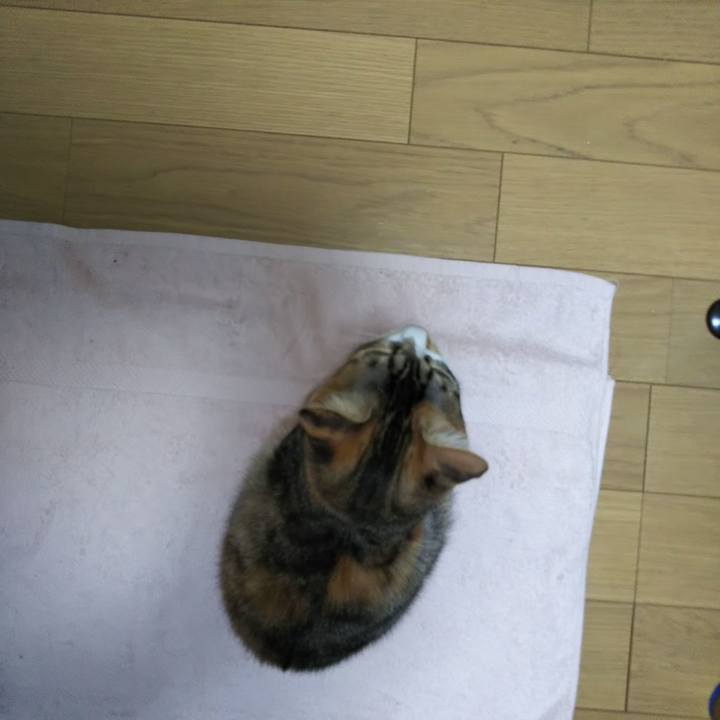 8e4ca47b c2da 409c 9aeb da7a395c0096 1636847742116