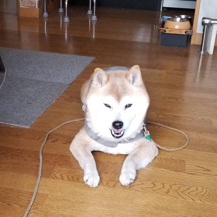 8e4cd372 5b74 4572 aeb2 62c4bbe731ab 1680148020012