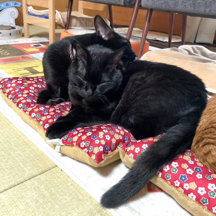 8e4cda1c 8f61 4091 a3fa 05a92b9e6050 1573431845065