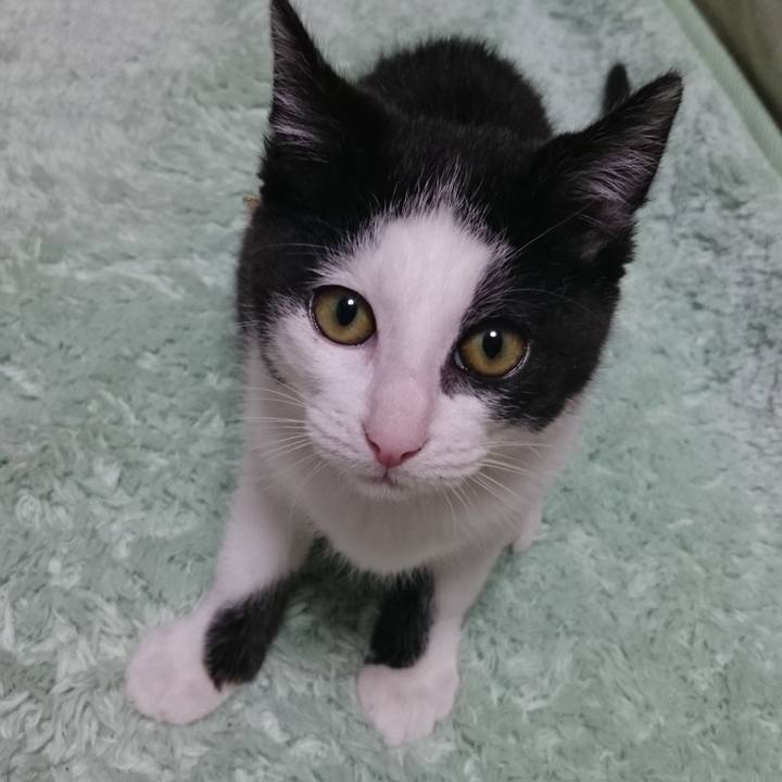 8e4d30f1 a515 4552 9b13 9d9b1a0fb6e2 1615609256245