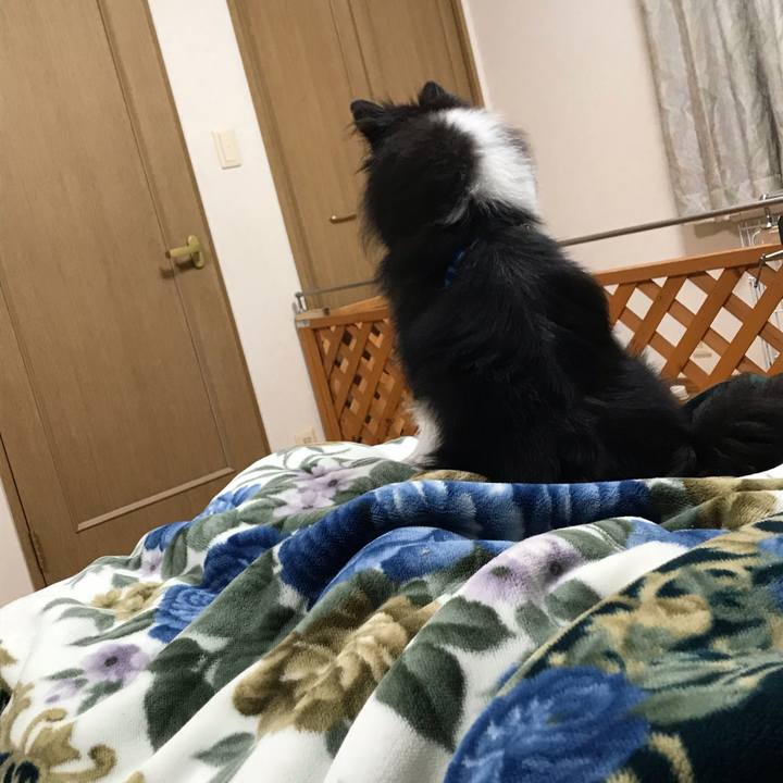 8e4d5a69 ad81 4164 834b 0e1d2d348f17 1538689791522