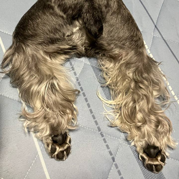 8e4dbf69 c70a 4a89 a4d5 a00df8f03964 1747837181068