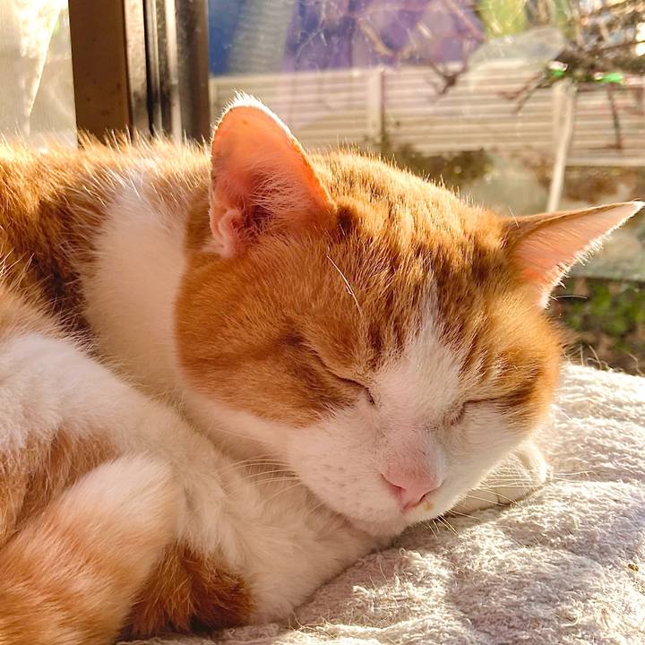 8e4ddb77 f0d1 4566 92e6 cc3e11079efa 1676874427406