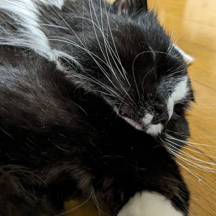 8e4de5c9 c32f 4a31 aff4 c8ea52e849f1 1709983227363