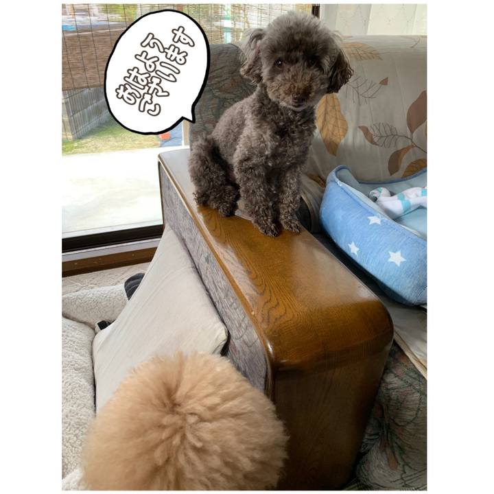 8e4e0928 6e8d 4bd6 8fc4 91618bd4f37e 1594852605577