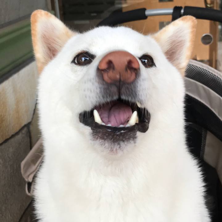 8e4e6449 fb12 459e 8fb1 983ae2d64809 1533430063284