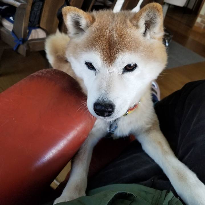 8e4e98c1 c129 4109 bd24 0526283c79fd 1676529941197