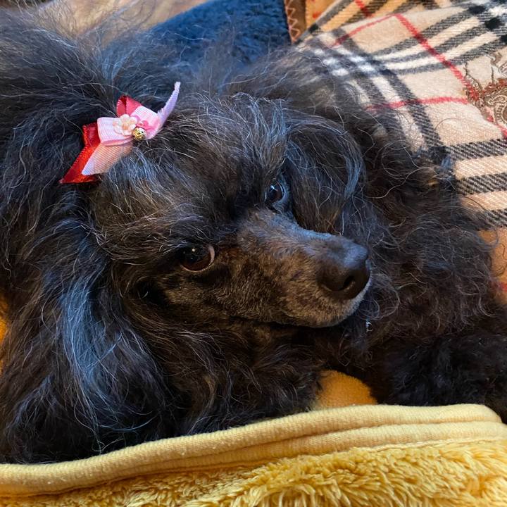 8e4e9b14 ed02 4bdc a265 d884848d6312 1676004524438