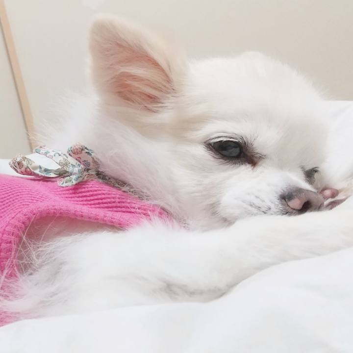 8e4ebc45 cd7c 45fd 8e76 ceef00e3926b 1636791692527