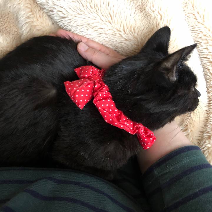 8e4ec134 2bd7 4a92 94fc e4871e0c5dda 1555532817587