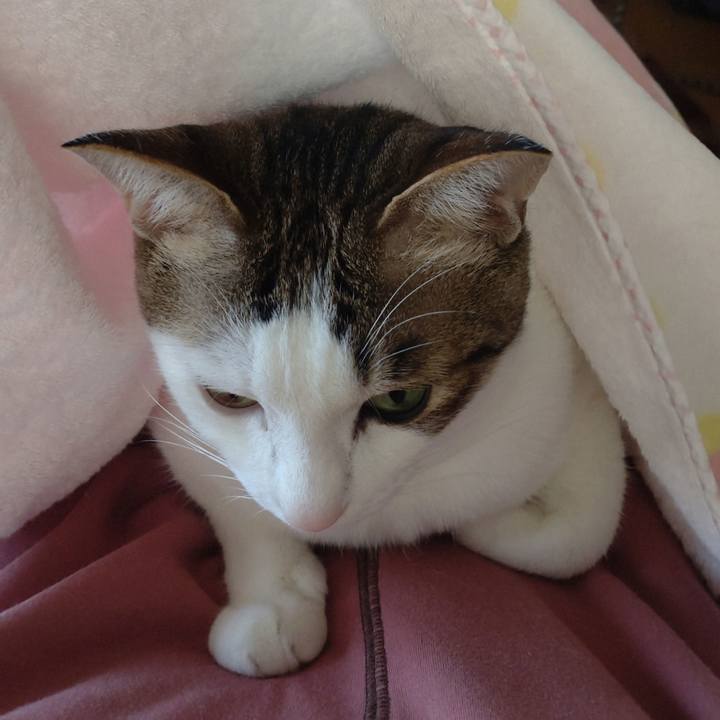 8e4ee3ea 1a53 4baa a0e4 301e09abaf15 1742825739121