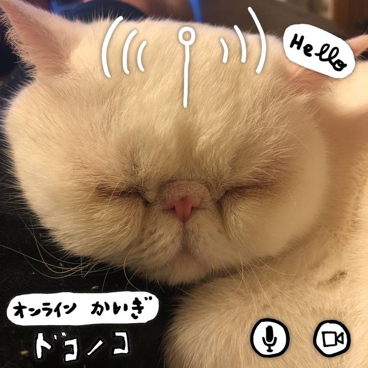 8e4ef335 57b5 493d b5d5 8a84f343790e 1590673845876