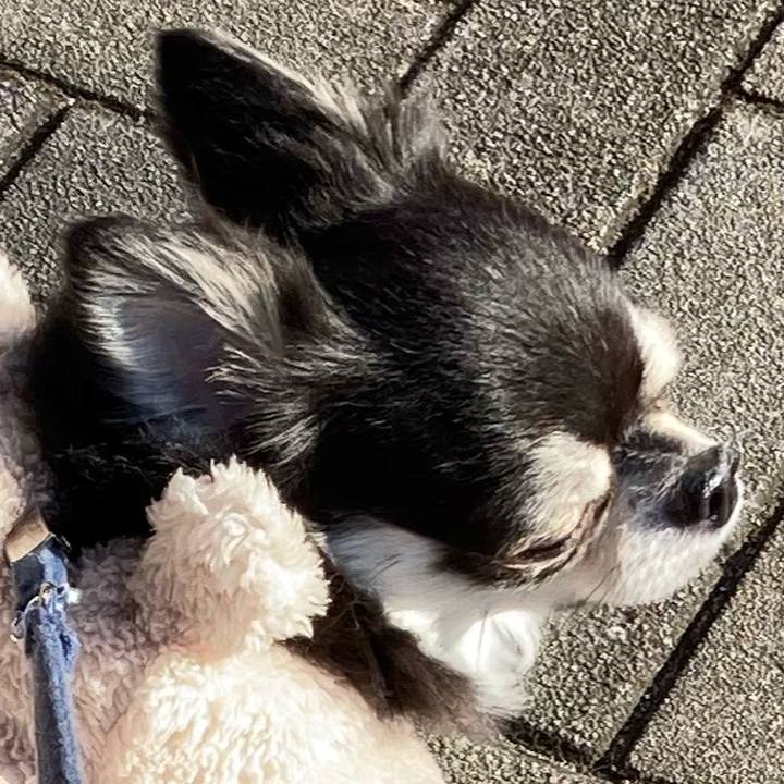 8e4f206c c9d5 4263 b2e9 348dbccfb4cd 1672808228334