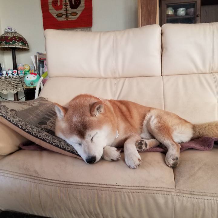 8e4f39a9 9154 47d7 b97c 6af854a3ed41 1735258729187