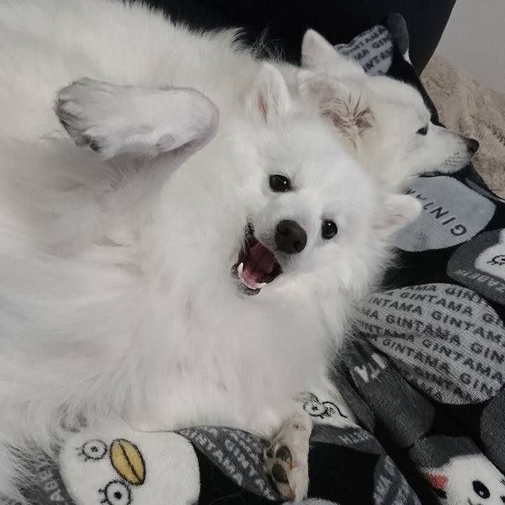 8e4f94d3 1a82 4df7 bf16 a86ef500b0f6 1579079836993