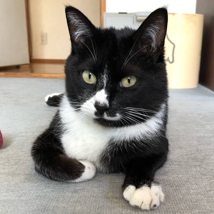 8e4f9b3e 9434 4c4b 88ff c258442fc1f6 1589254190342