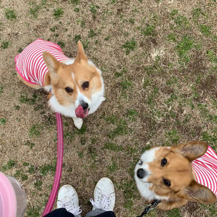 8e4fc9f8 9dc2 408a b57b 284c0b38c134 1582186594835