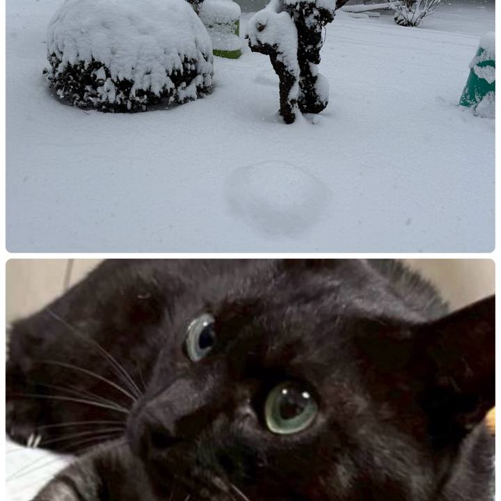 8e4ff46b 8bbe 4358 8b88 11bed100d7c3 1770597929567