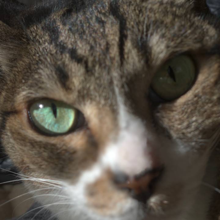 8e500e30 5083 4a25 8764 d0cca605e4ee 1543628451370