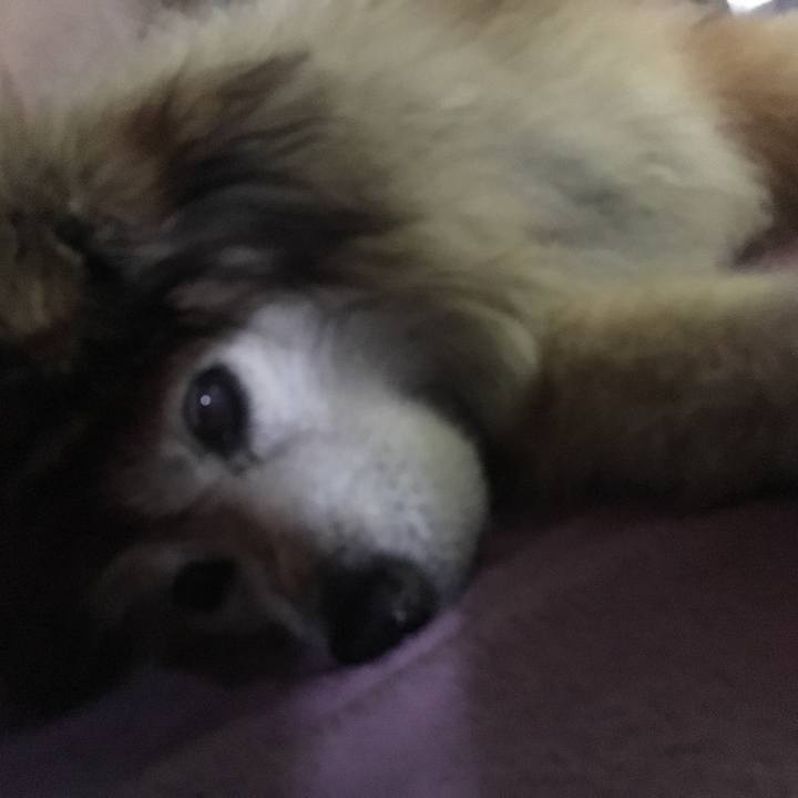 8e501921 e6c6 49a0 a73a 73bd808d9199 1559503305542