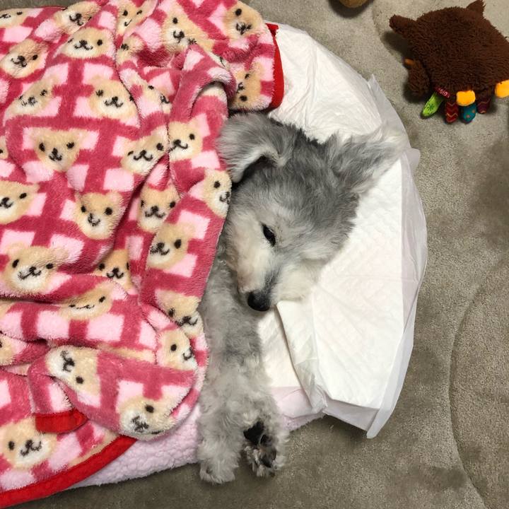 8e503af0 1676 4521 962d b1b6e0ad2f0e 1669766920846