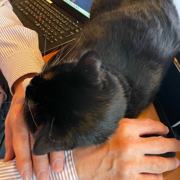 8e504ebd 70e0 4096 a981 214defe17222 1712623911561