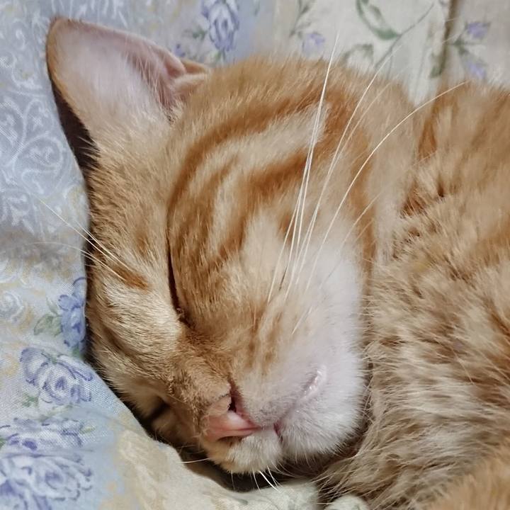 8e508632 b03a 4ffc 99bd da1551275a42 1660656256385