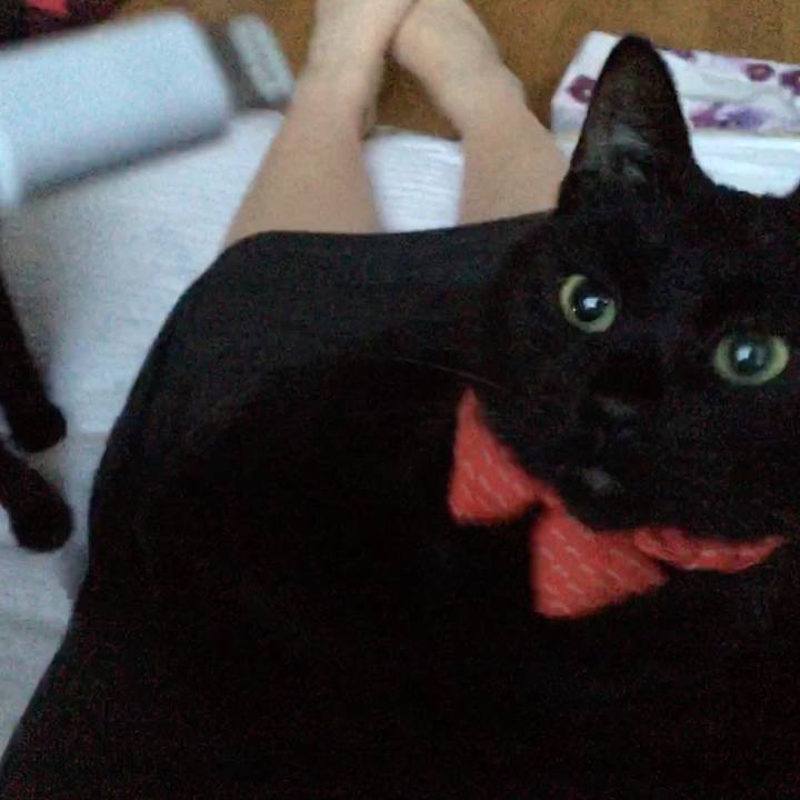 8e5090f5 10b9 44a2 9b7f 97d704b5f370 1553027998672