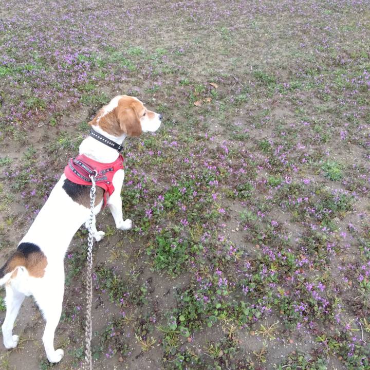 8e50920e d7cd 4eaa ab59 d9956e90b4a2 1709208687604