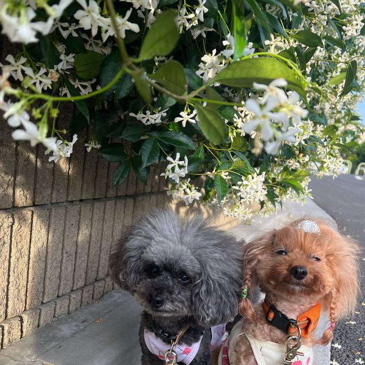 8e50b42b e9c3 4685 a7e7 07ff53158f59 1685230524052