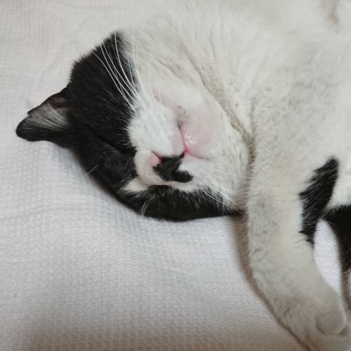 8e50ff6a 29b3 4f3d a9ba 5e4dadf8e0b7 1559101367090