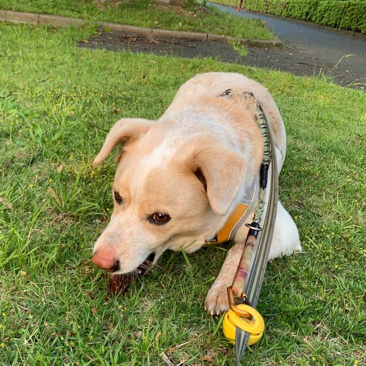 8e5107cf 5d9b 4867 8449 cf5caa057255 1557576436838