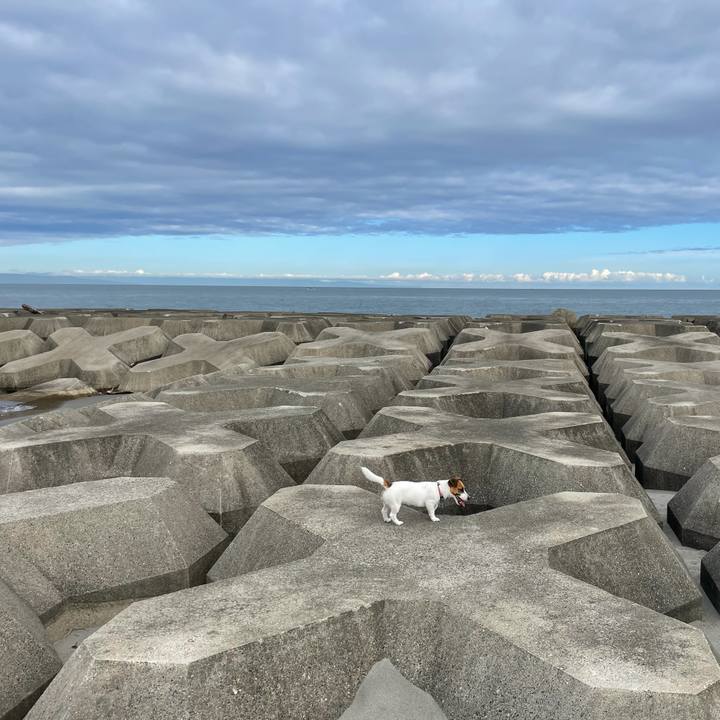 8e511274 1f18 4427 bd38 942d67cb8b34 1630625471255