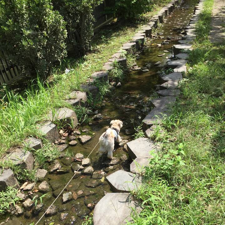 8e516fd2 545e 458f 879e cf8f460a889b 1537165274419