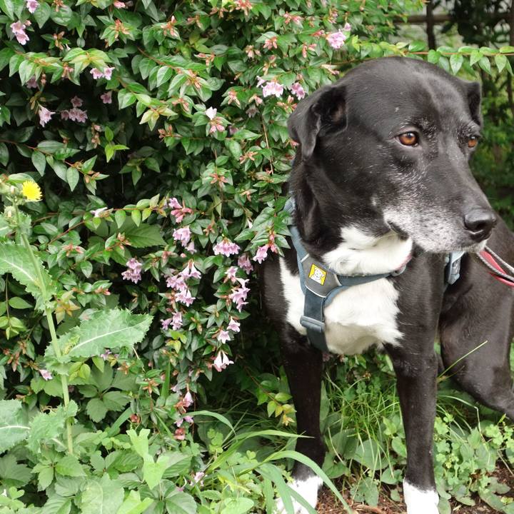 8e51a784 abd9 4338 8a3c 66300d1ab73e 1716337787579