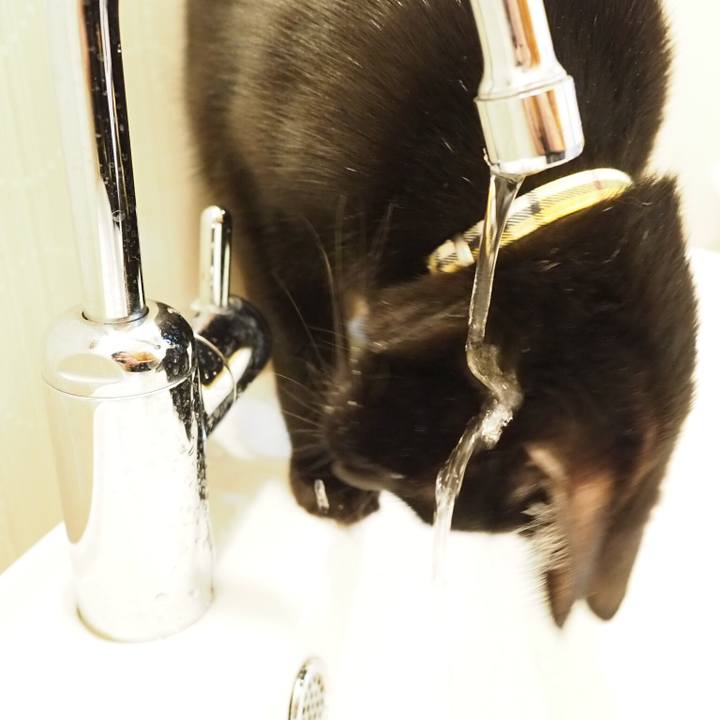 8e5229d5 4619 401b b609 3822d13bc587 1553644656106