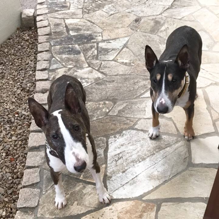 8e524574 aabd 4403 9353 674a85231ff5 1509867783286